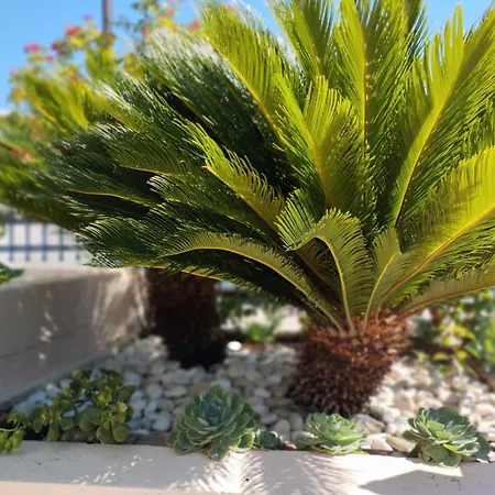 House Kochyli Semesterbostad Agia Eirini