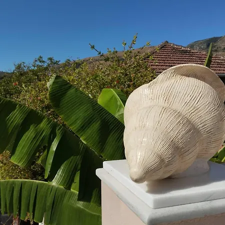 House Kochyli
