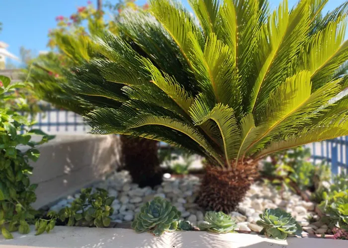 House Kochyli Hébergement de vacances Agia Eirini