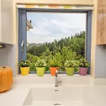 House Kochyli Case de vacanță *